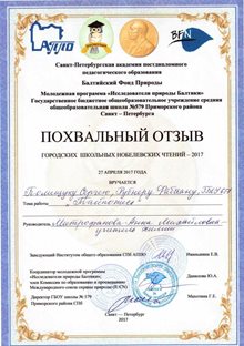 2016-2017 Полищук Сергей, Рубнер Фабиан 8л